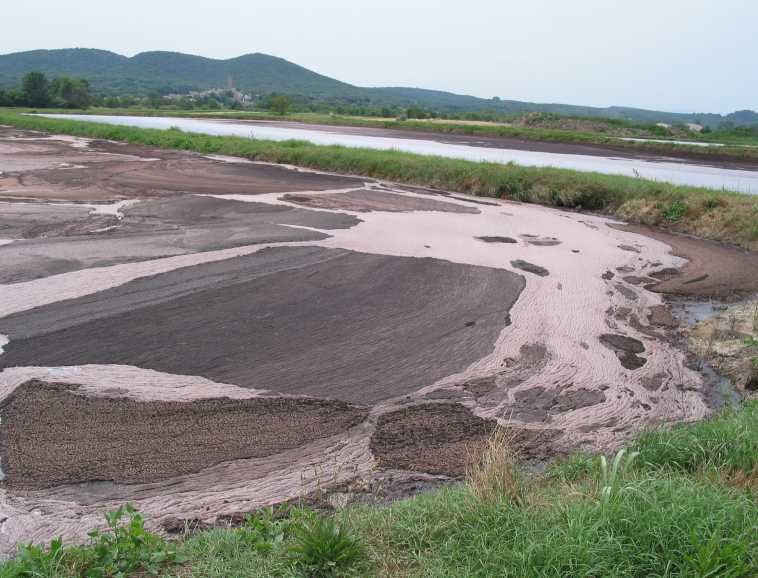 Épandage effluents de distillerie